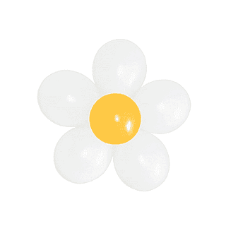 FLOWER BALLOONS PACK