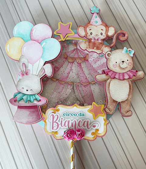 Topo de Bolo Shaker Circo Rosa