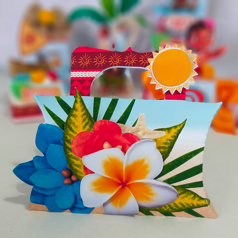 Caixa Travesseiro 15