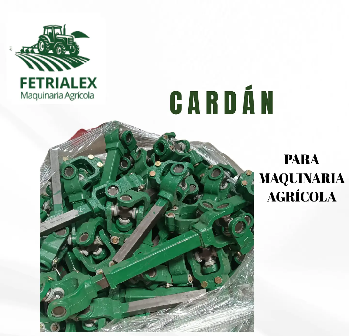 CARDÁN 1