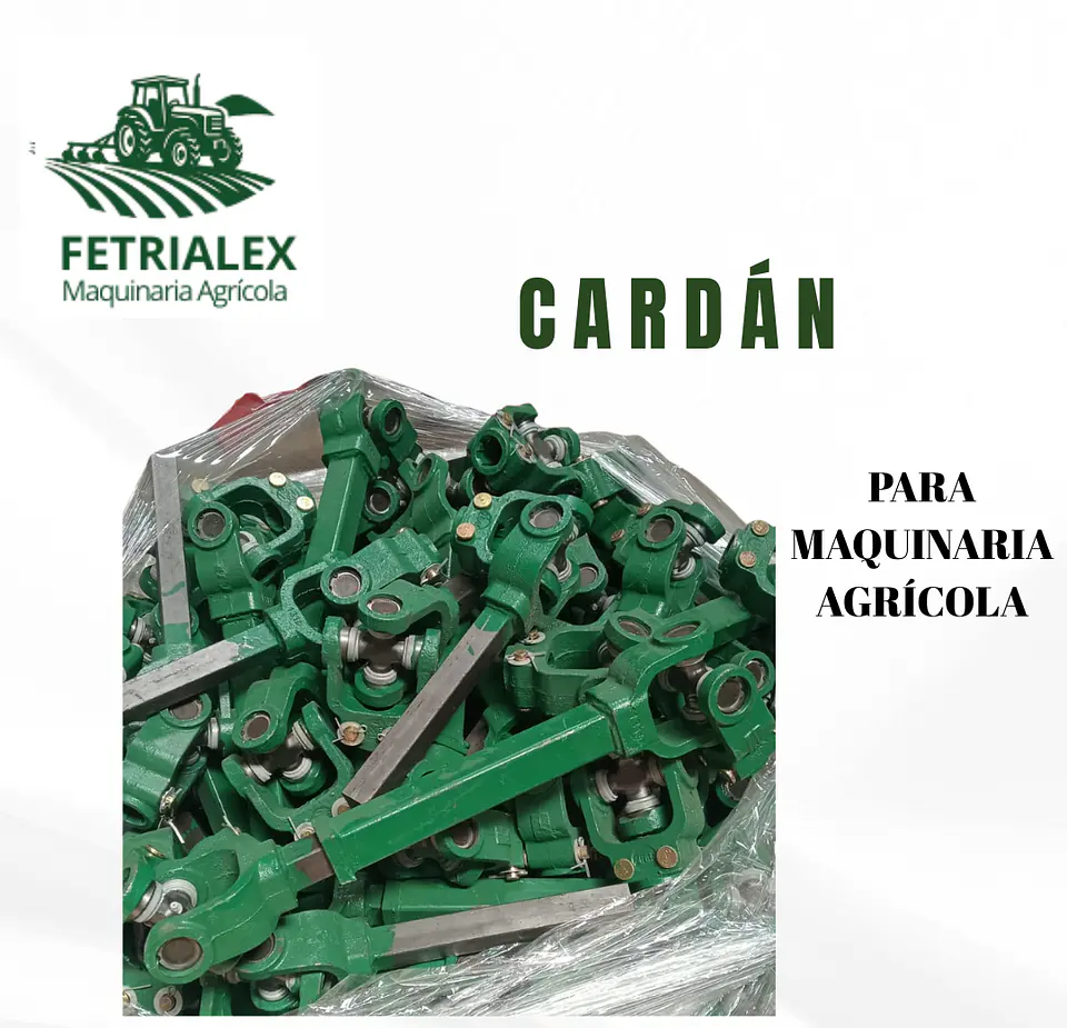 CARDÁN 1