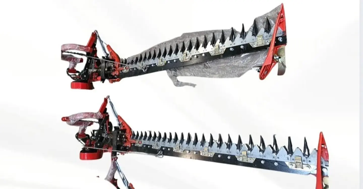 SEGADORAS DE BARRA 1