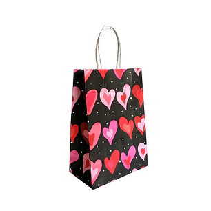 Bolsa Corazón Diseños/Surtidos 21x15x8cm 1 Uni