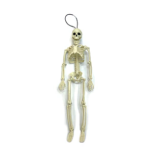 Eng Calavera Cra 40Cm 1 Uni