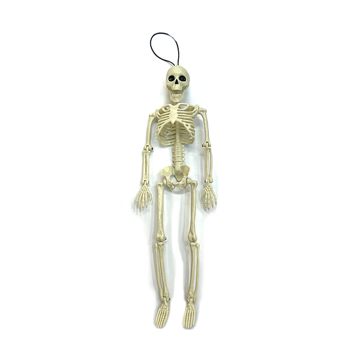Eng Calavera Cra 40Cm 1 Uni