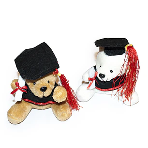Peluche Russ Oso Graduado 10Cm 1 Uni