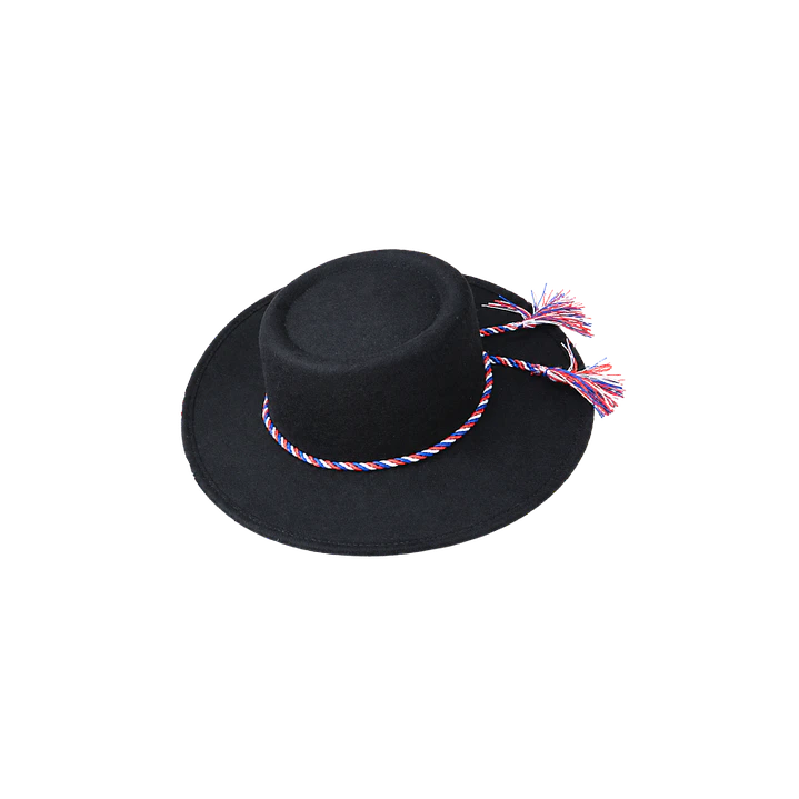 Sombrero Huaso Elegante Pequeño
