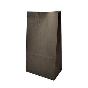 Bolsa Papel Negra 24x13x8cm 12 Uni