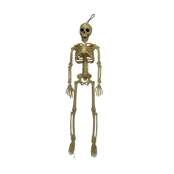 Engendro Calavera 90 Cm 1 Uni