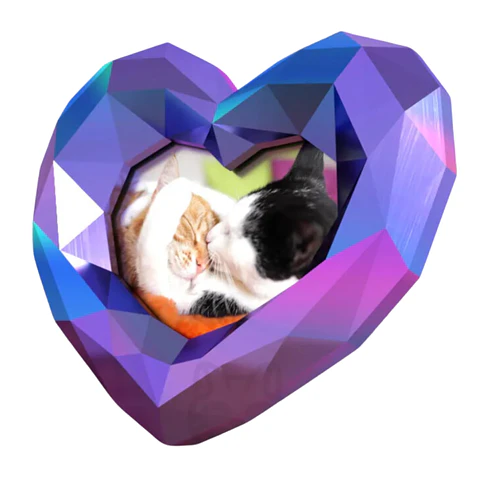 Marco de Fotos 3D en Forma de Corazón