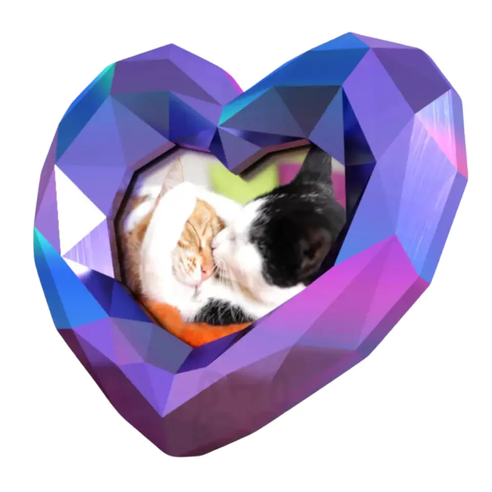 Marco de Fotos 3D en Forma de Corazón 1