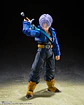 S.H.FIGUARTS SSJ TRUNKS THE BOY FROM THE FUTURE - Miniatura 4