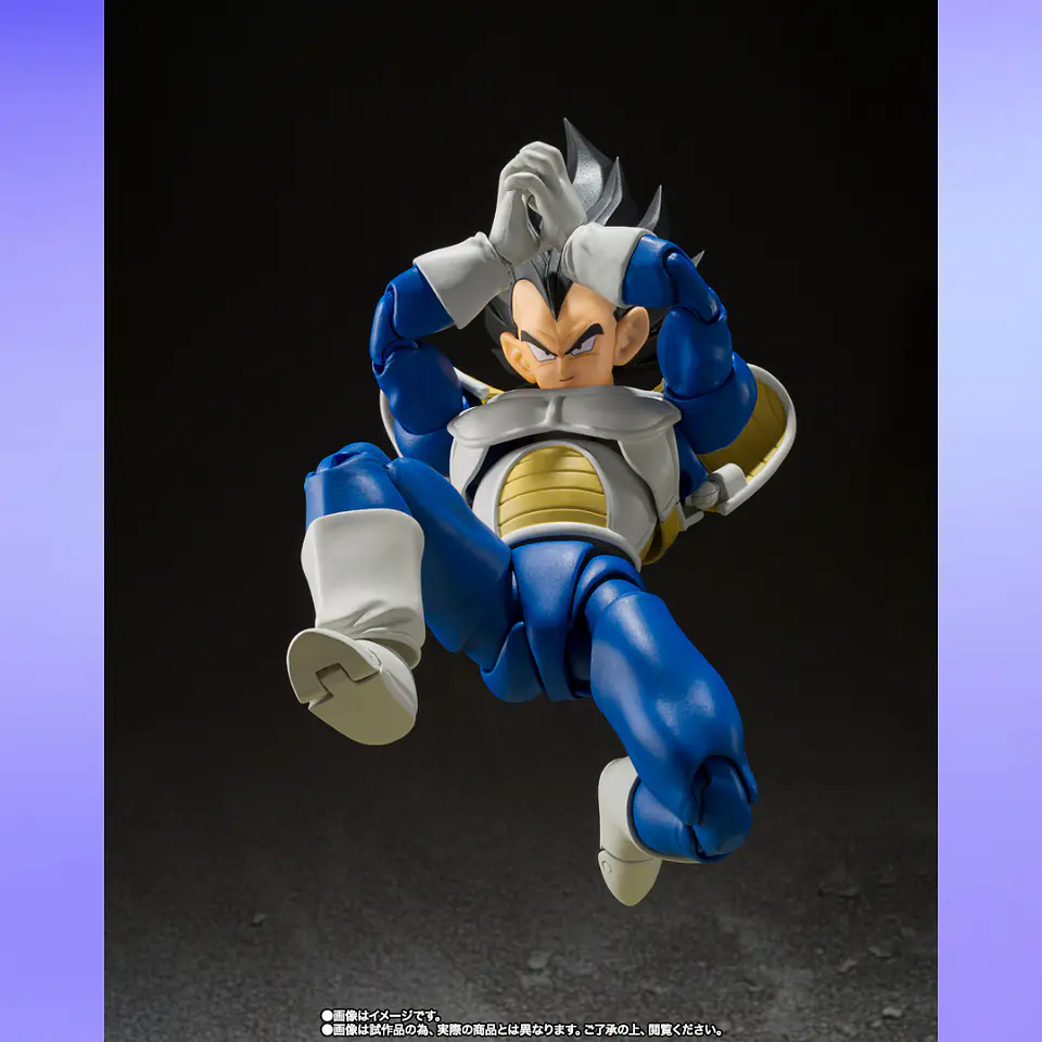 S.H.Figuarts Vegeta (24000 Poder) Dragon Ball Z 5