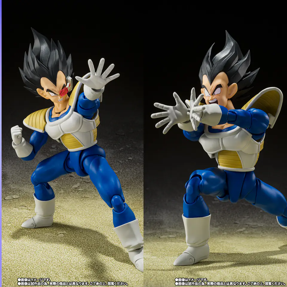 S.H.Figuarts Vegeta (24000 Poder) Dragon Ball Z 3