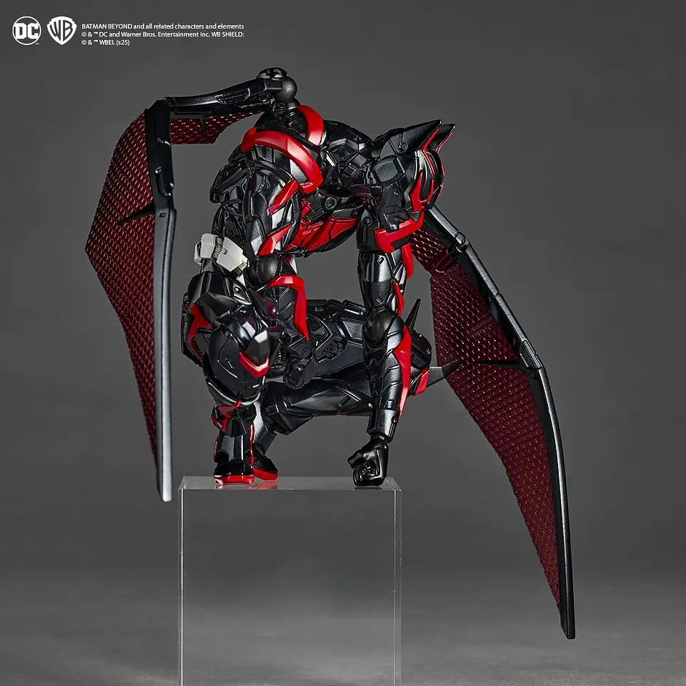 Amazing Yamaguchi Revoltech Batman Beyond Bonus 7