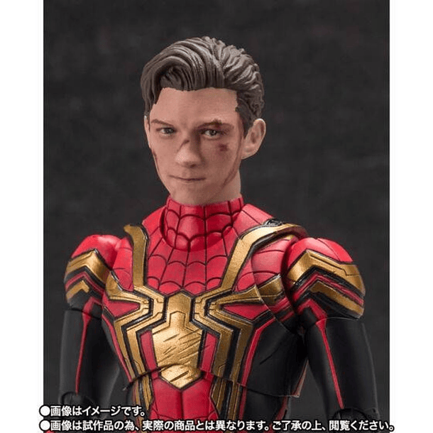 S.H. FIGUARTS SPIDER-MAN Integrated Suit Final Battle 5