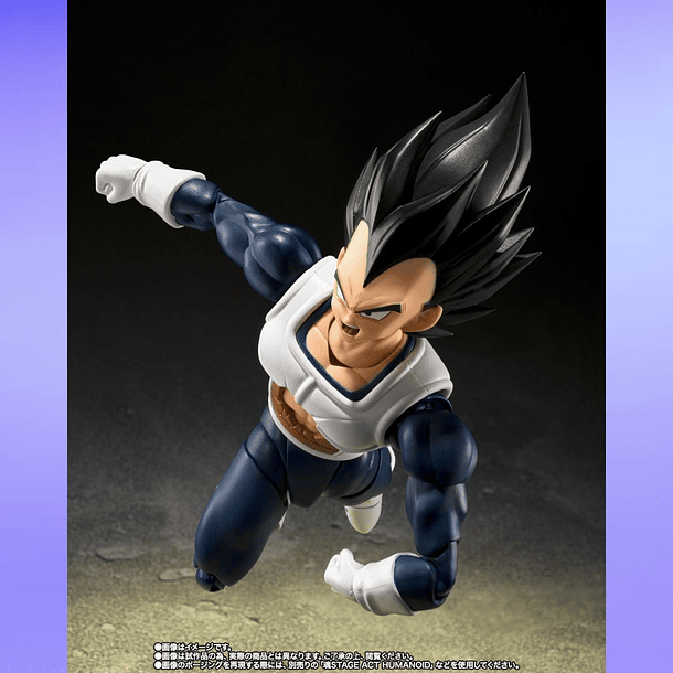 S.H.Figuarts Vegeta (Old Battle Suit Ver.) Dragon Ball Z 4