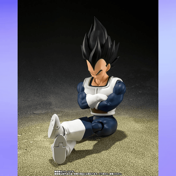 S.H.Figuarts Vegeta (Old Battle Suit Ver.) Dragon Ball Z 6
