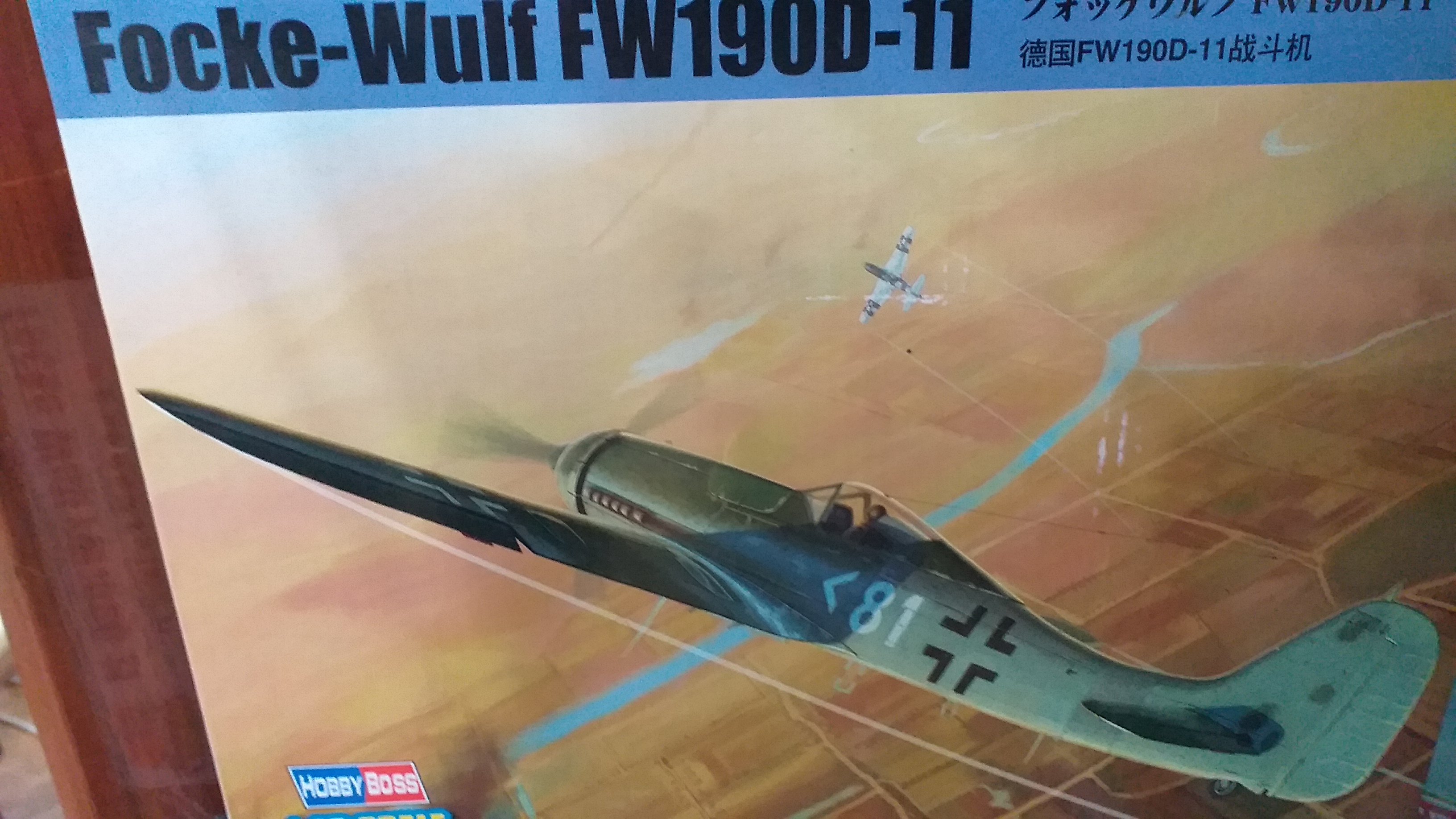 Focke Wulf FW 190 D 1:48 Hobby Boss