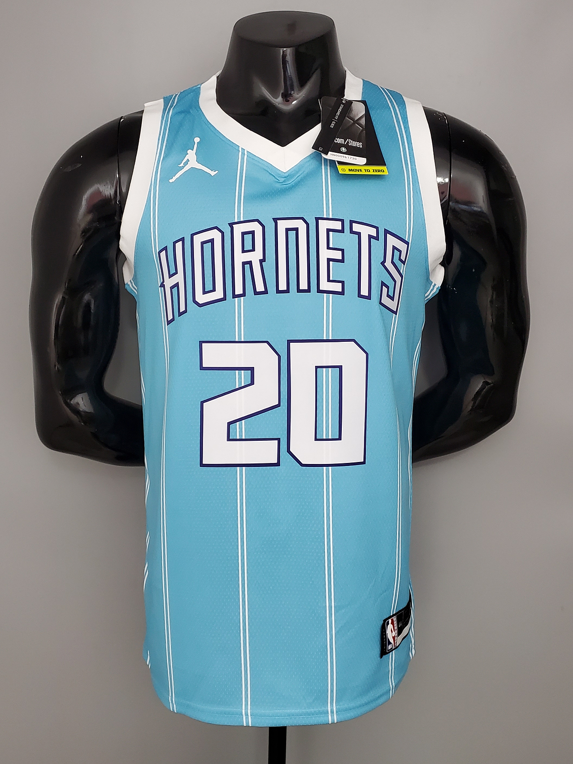 Charlotte Hornets  1