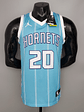 Charlotte Hornets  - Thumbnail 1