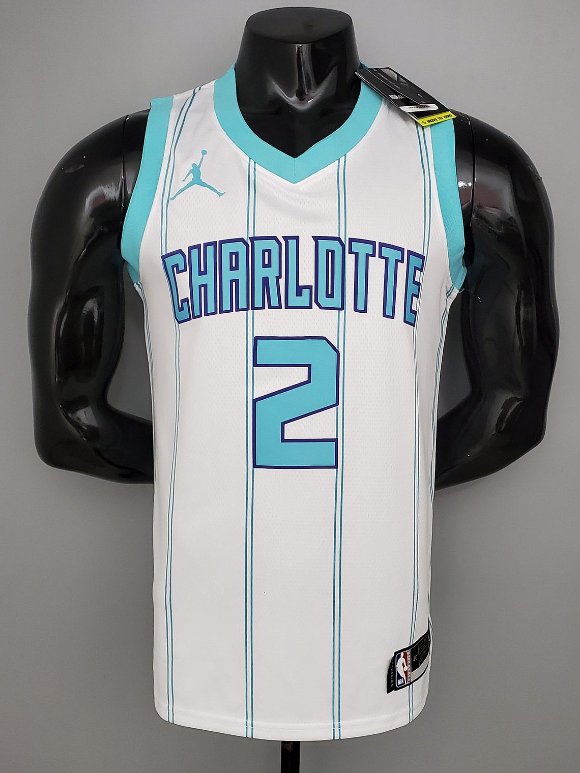 Charlotte Hornets 1