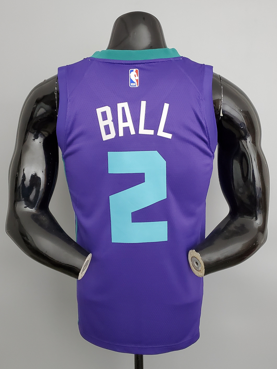 Charlotte Hornets 2
