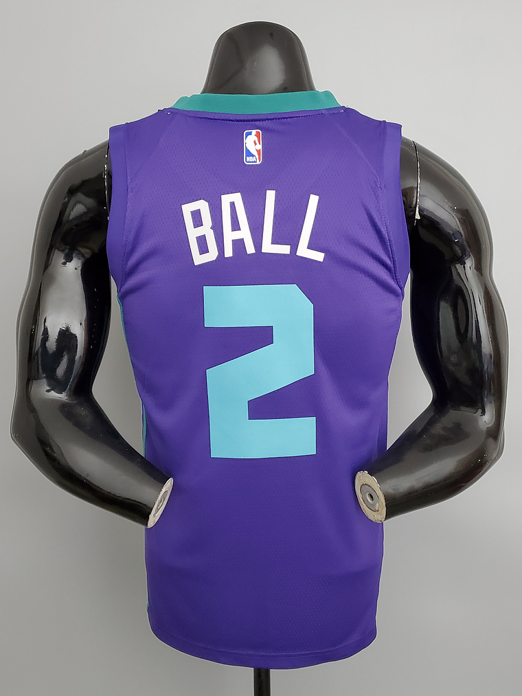 Charlotte Hornets 2
