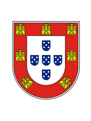 Patch de Campeão Português