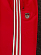 Fato de Treino Benfica X Adidas Originals 2025 - Thumbnail 5