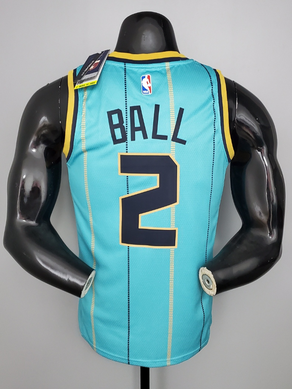 Charlotte Hornets  2