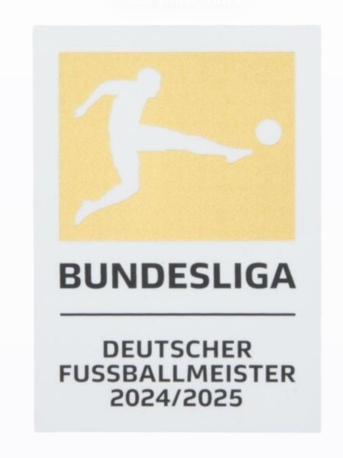 Patch Bundesliga 2