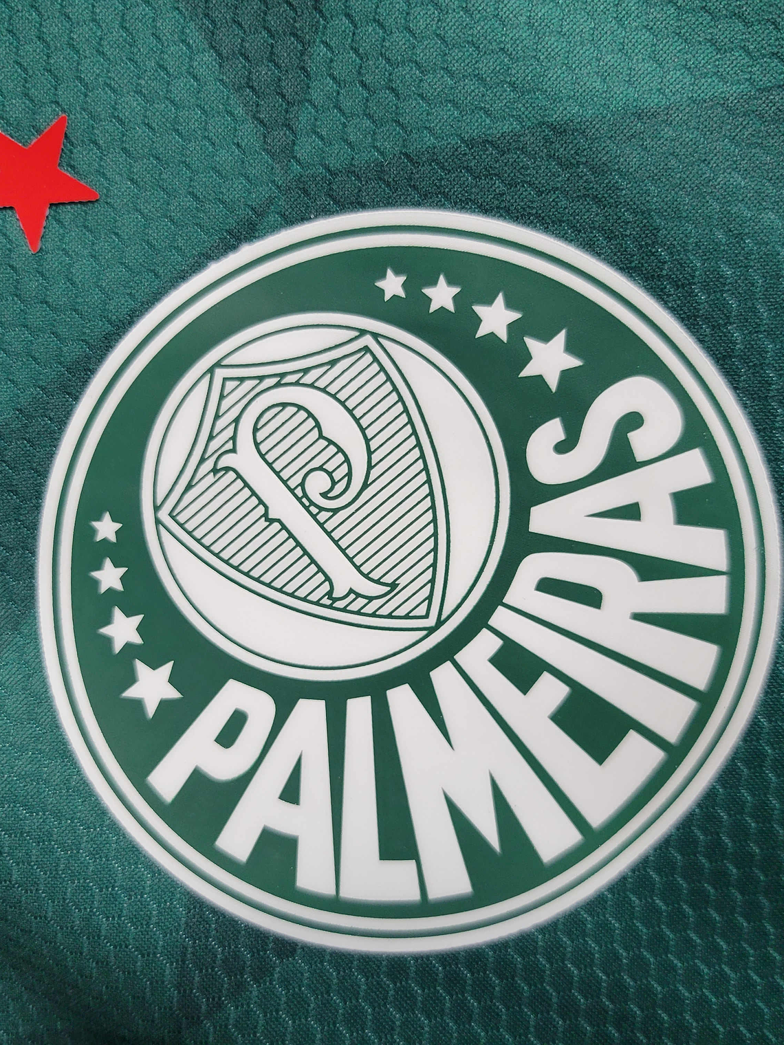 Camisola Palmeiras Principal 2023/24 2