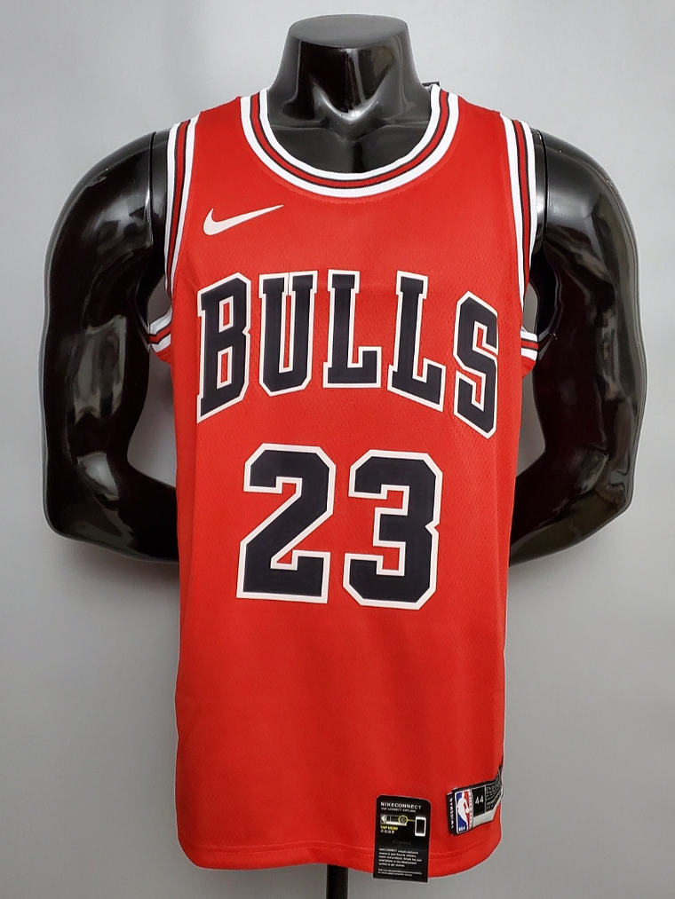 Chicago Bulls 1