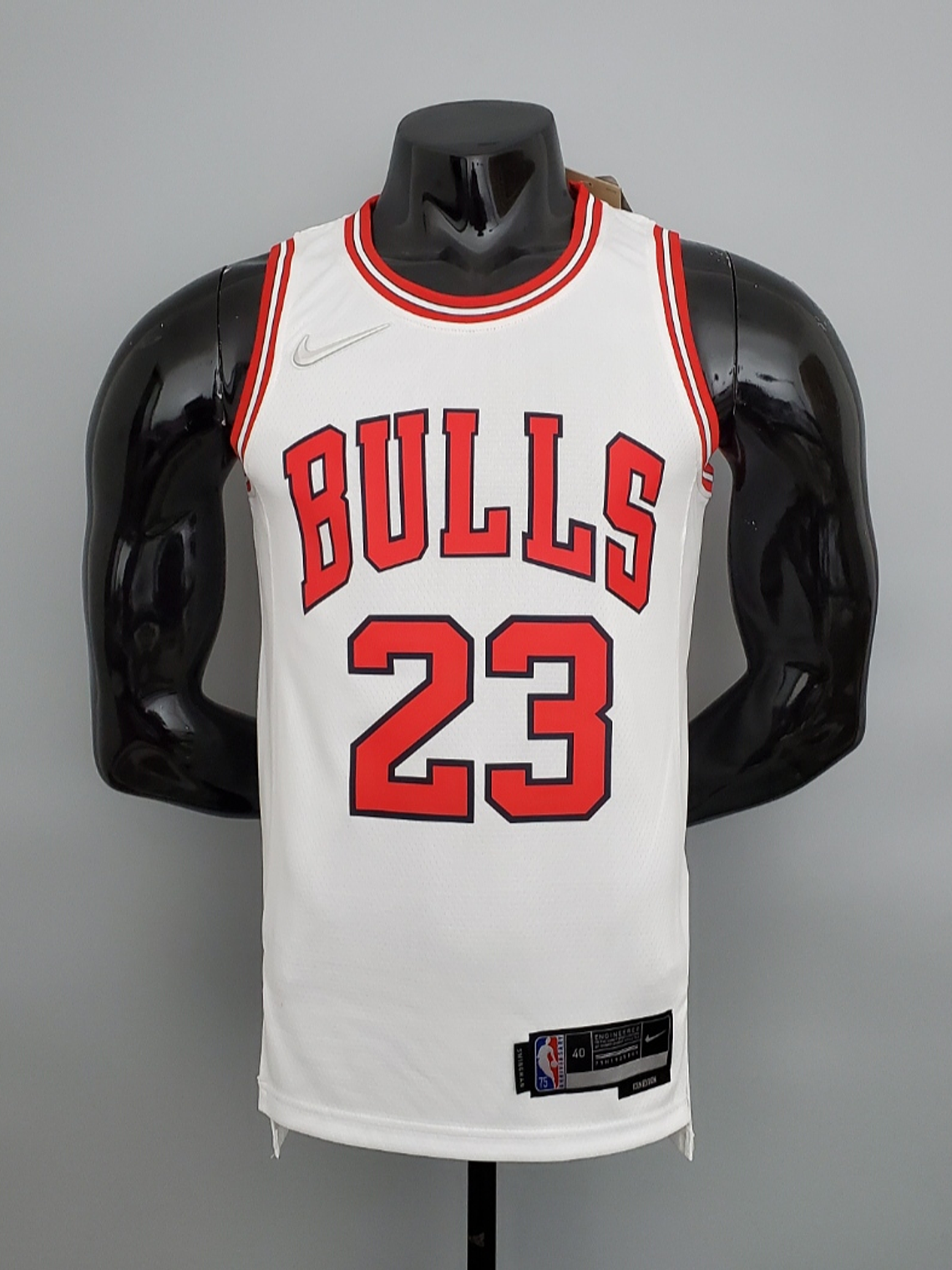 Chicago Bulls 1