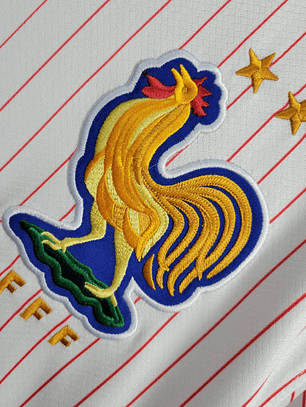 Camisola França Alternativa 2024