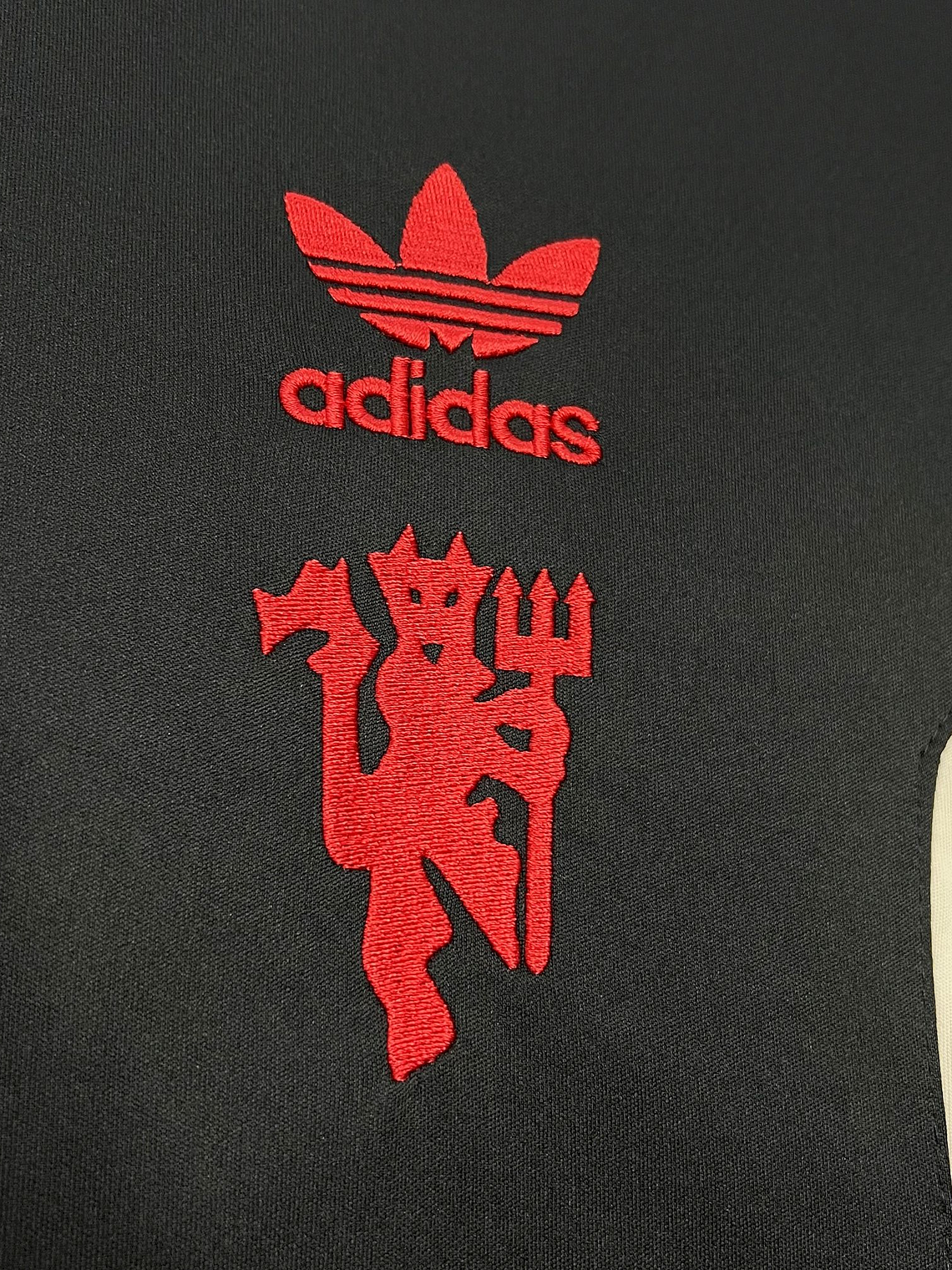 Camisola Manchester United Edição Especial 2024 2