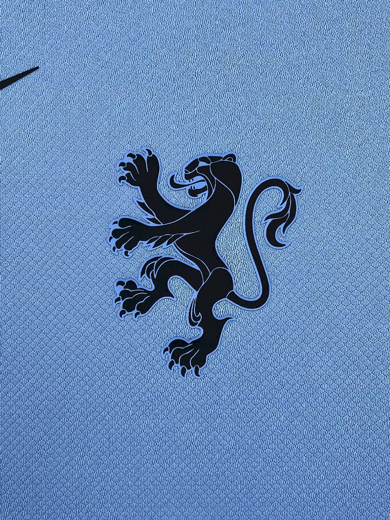 Camisola Holanda Alternativa 2025 2