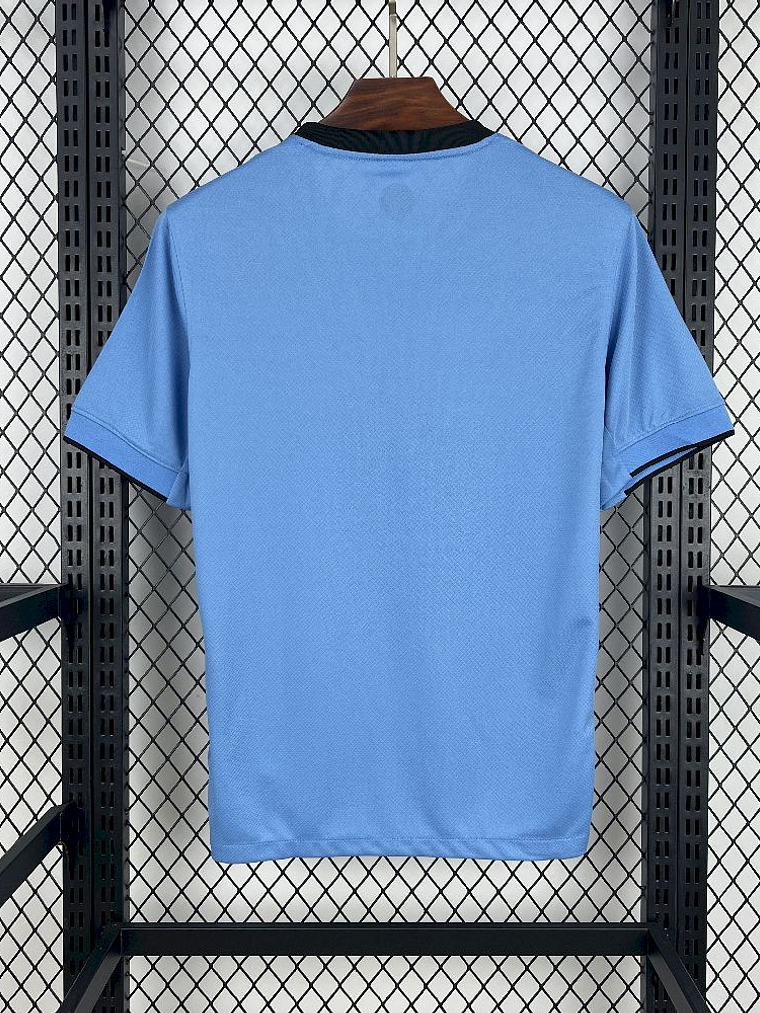 Camisola Holanda Alternativa 2025 3