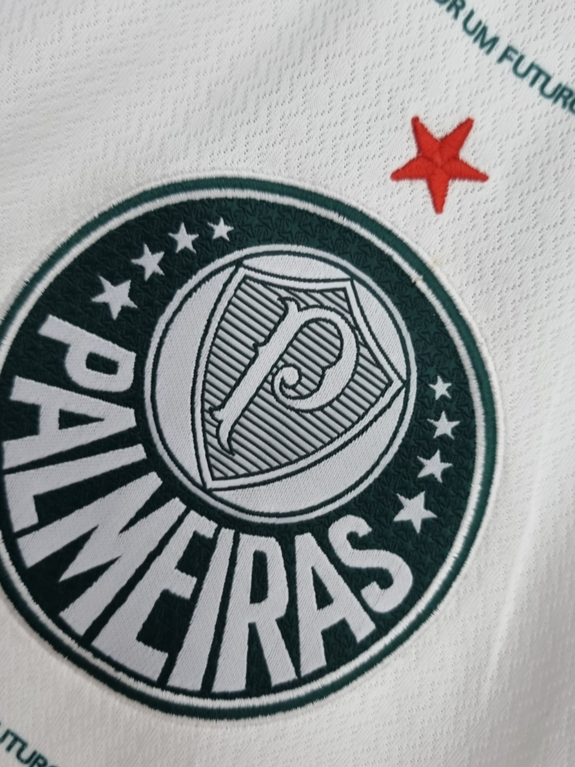 Palmeiras Equipamento Alternativo 2022/23 2