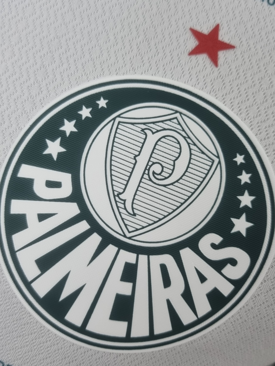 Palmeiras Equipamento Alternativo Versão Player 2022/23 2
