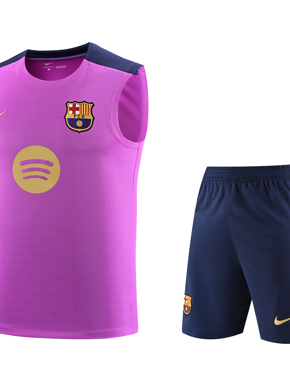 Kit de Treino Barcelona 2025/26 1