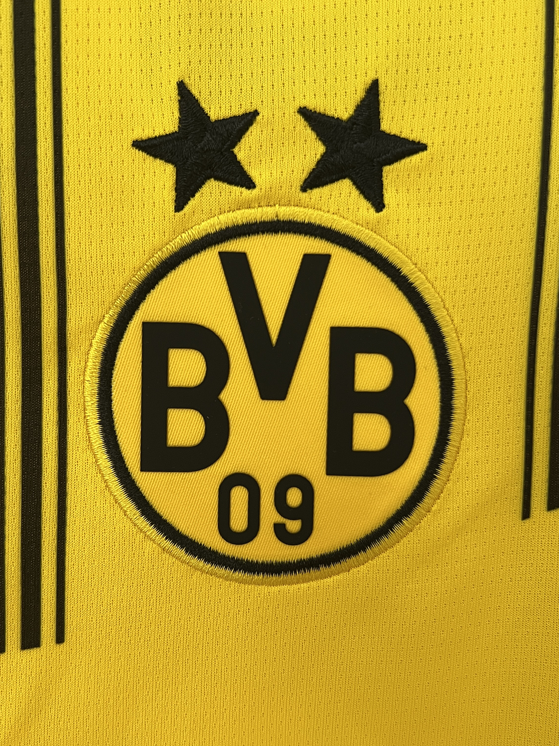Camisola Dortmund Principal 2024/25 2