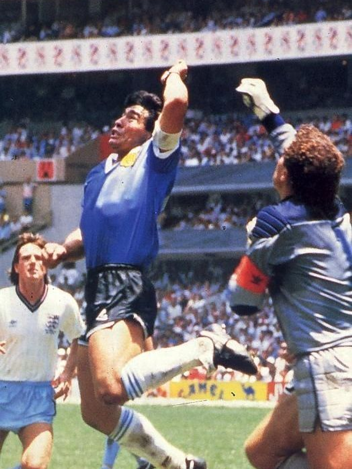 Camisola Argentina Alternativa 1986 4