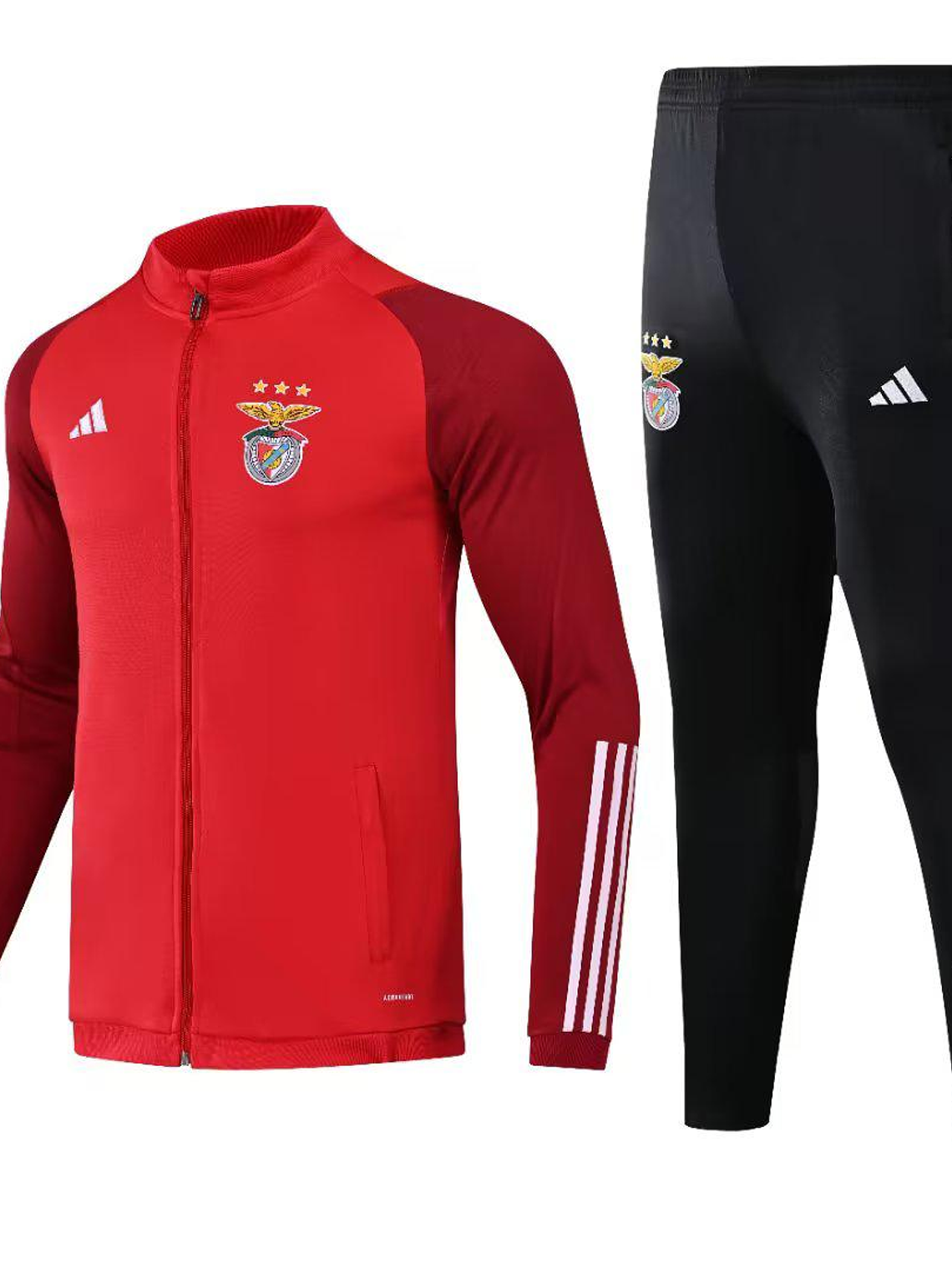 Fato de Treino Benfica 23/24 1