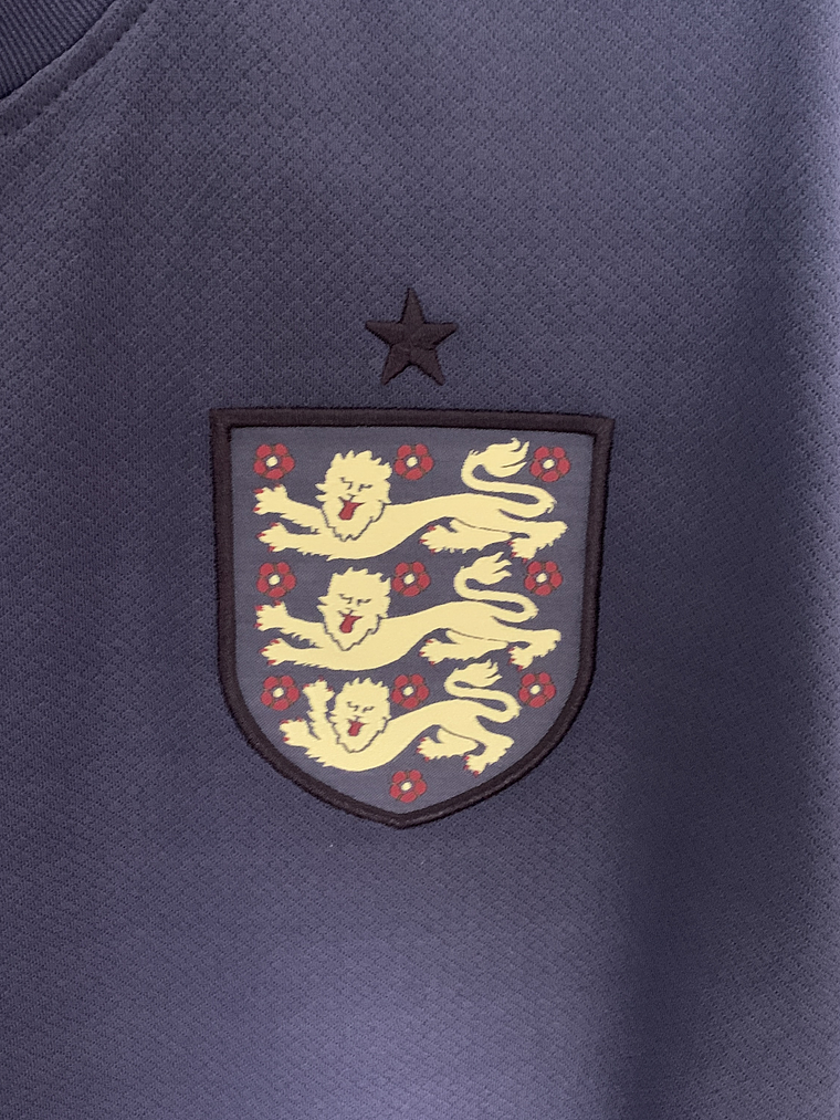 Camisola Inglaterra Alternativa 2024 2