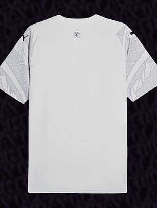 Camisola Manchester City Edição Especial 2024