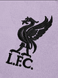 Liverpool Equipamento Guarda Redes 2022/23 - Thumbnail 2