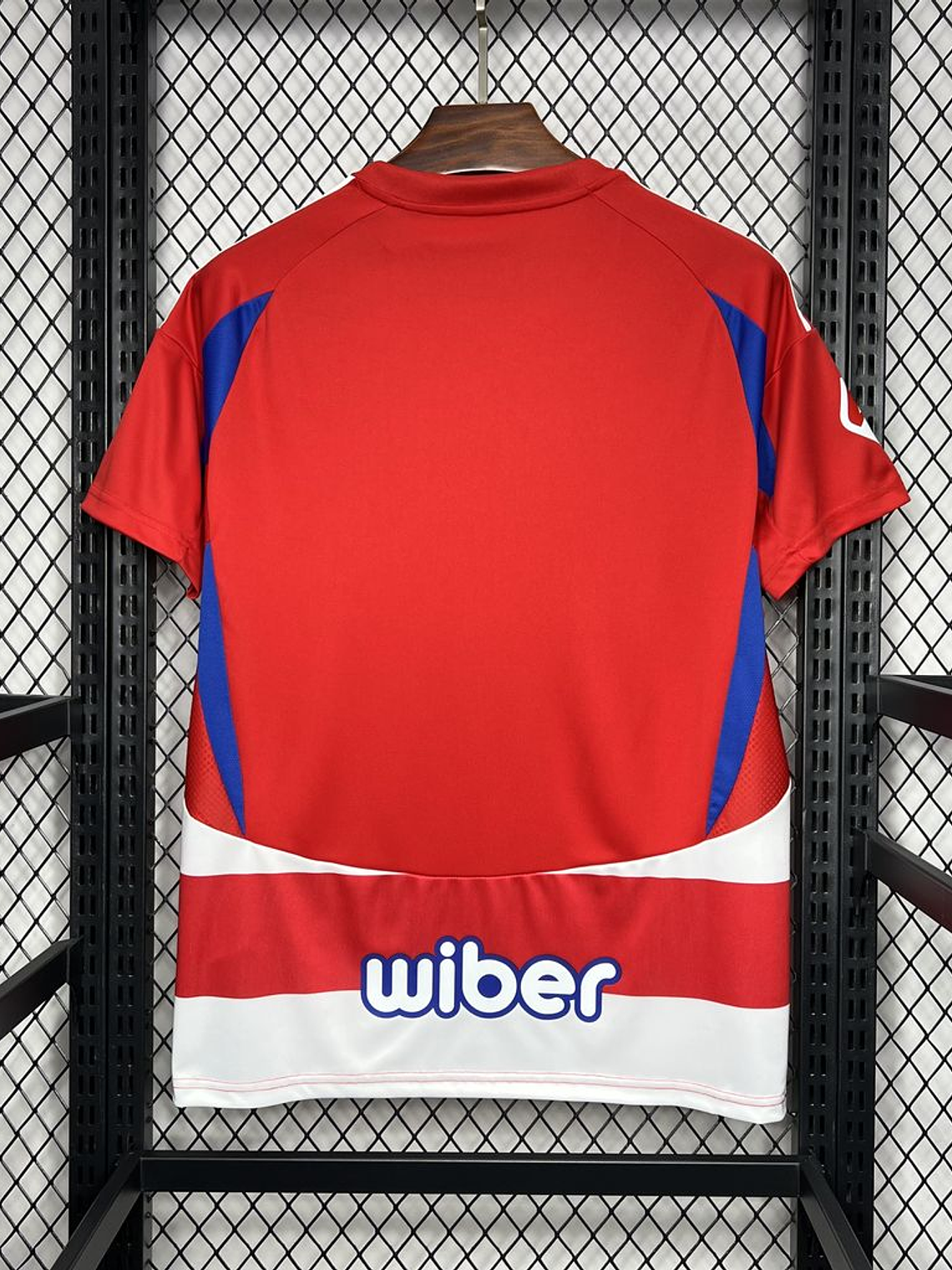 Camisola Granada Principal 2024/25 3