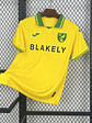 Camisola Norwich Principal 2025/26 - Thumbnail 1